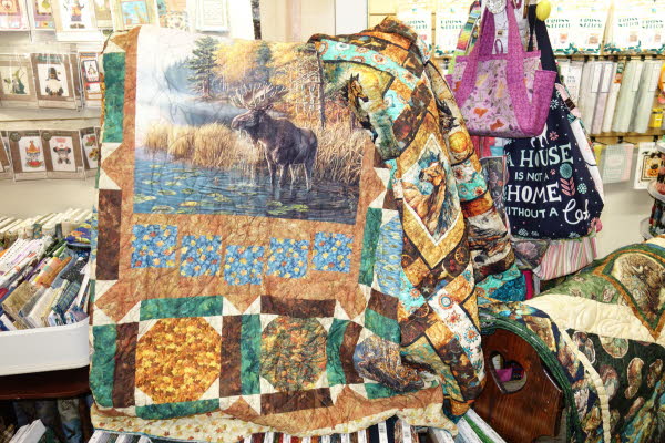 Dawn's Quilt Shop 4-29-26 (30)