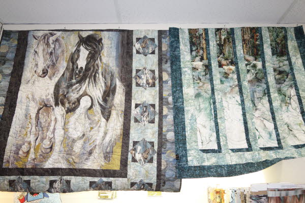 Dawn's Quilt Shop 4-29-26 (31)