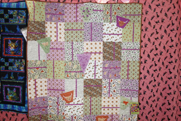 Dawn's Quilt Shop 7-28-26 (10)