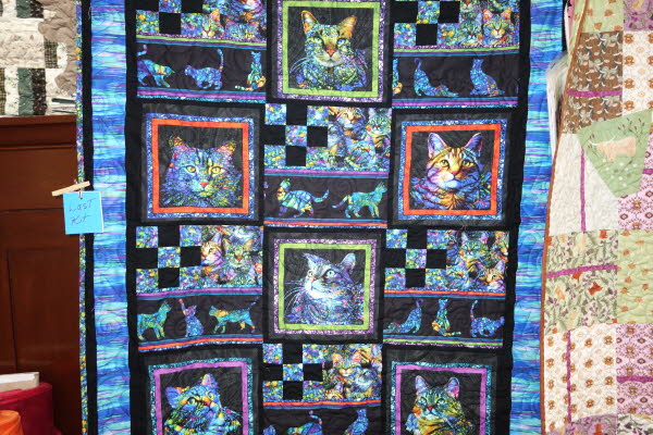 Dawn's Quilt Shop 7-28-26 (11)