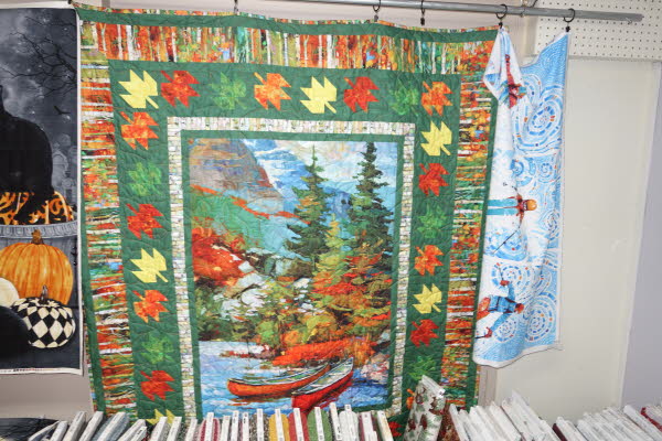 Dawn's Quilt Shop 7-28-26 (24)