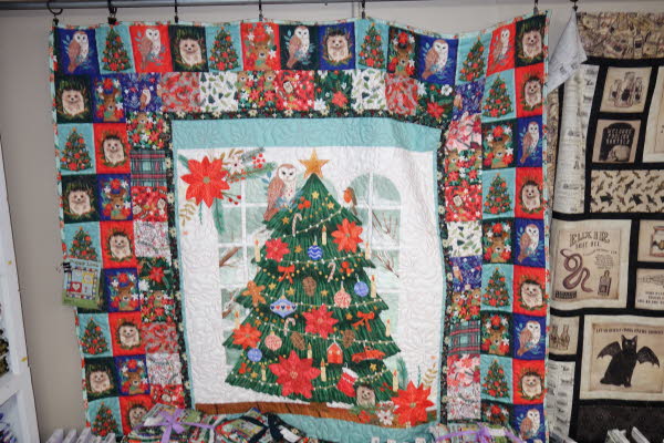 Dawn's Quilt Shop 7-28-26 (29)