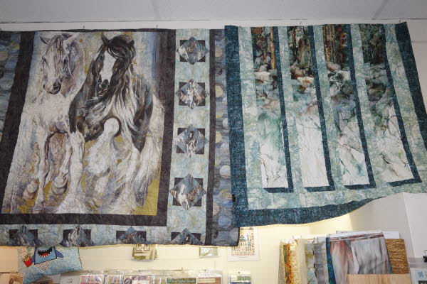 Dawn's Quilt Shop 7-28-26 (33)
