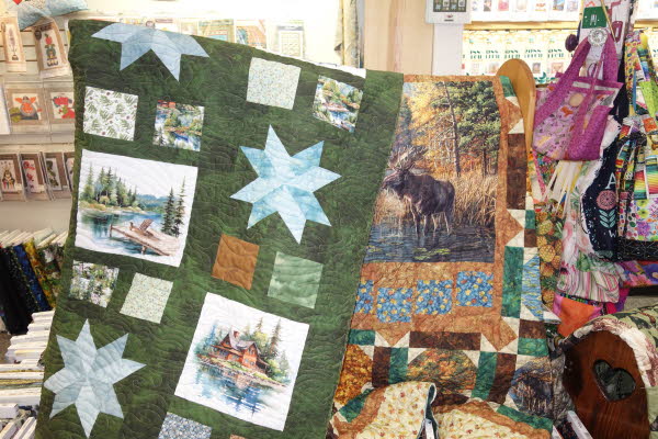 Dawn's Quilt Shop 7-28-26 (34)