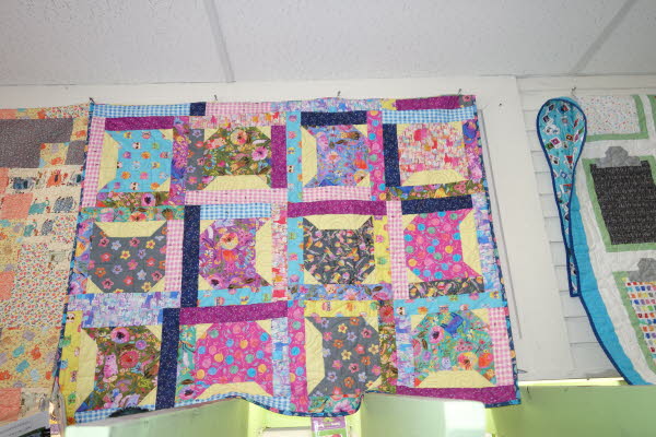 Dawn's Quilt Shop 7-28-26 (44)