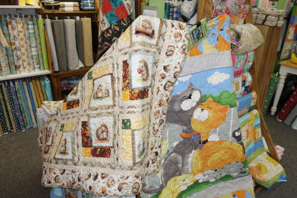 Dawn's Quilt Shop 7-28-26 (45)