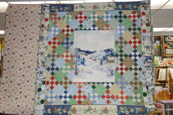 Dawn's Quilt Shop 7-28-26 (46)